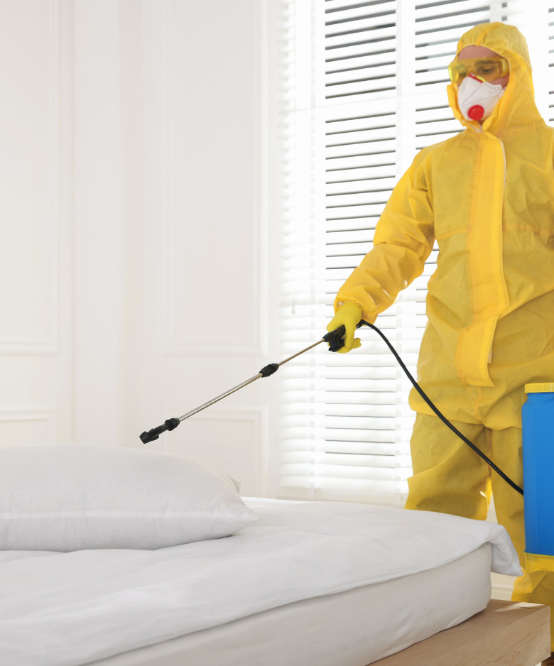 Professional Pest Control Team in West Beach
